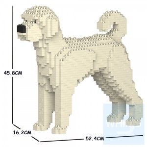 Jekca - 拉布拉多貴賓犬 01C（三種顏色）