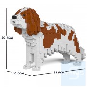 Jekca - 查理斯王騎士犬 01S（五種顏色）