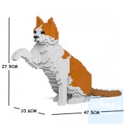 Jekca - 橙白家貓 12S-M03