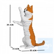 Jekca - 橙白家貓 22S-M01