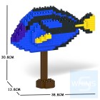 Jekca - 擬刺尾鯛 01C