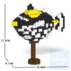 Jekca - 花斑擬鱗魨 01S