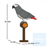 Jekca - 非洲灰鸚鵡 01S