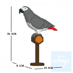 Jekca - 非洲灰鸚鵡 01S
