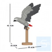 Jekca - 非洲灰鸚鵡 02S
