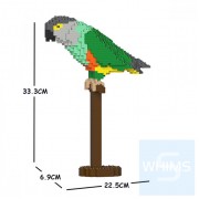 Jekca - 塞內加爾鸚鵡 01S