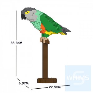 Jekca - 塞內加爾鸚鵡 01S
