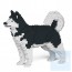 Jekca - 阿拉斯加雪橇犬 01S M01/M02/M03
