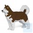 Jekca - 阿拉斯加雪橇犬 01C M01/M02/M03