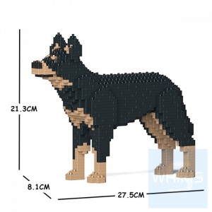 Jekca - 澳洲卡爾比犬 01S