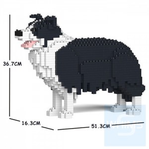 Jekca - 邊境牧羊犬 01C M01/M02/M03