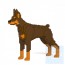 Jekca - 杜賓犬 01C M01/M02  (可砌垂耳款式)