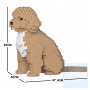 Jekca - 可卡貴賓犬 01C M01/M02/M03