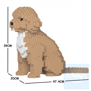 Jekca - 可卡貴賓犬 01C M01/M02/M03