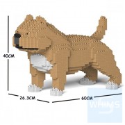 Jekca - 美國惡霸犬 01C M01/M02/M03