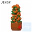 Jekca - 金桔樹 01S