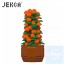 Jekca - 金桔樹 01C